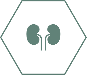 Сприяє здоров'ю нирок завдяки спеціальній комбінації поживних речовин, включаючи антиоксиданти, аргінін і омега-3 жирні кисло