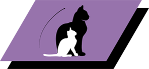 Перший прикорм кошенят