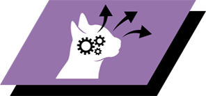 Сприяє здоровому зору та розвитку мозку