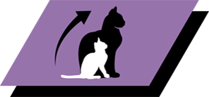 Здоровий розвиток підтримується поживними речовинами, адаптованими до фази росту