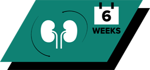 Науково розроблений для підтримки здоров'я нирок завдяки позитивним змінам окислювальних параметрів, що спостерігаються через