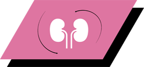 З аргініном, антиоксидантами та омега-3 жирними кислотами для підтримки здоров'я нирок