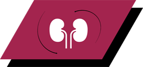 З аргініном, антиоксидантами та омега-3 жирними кислотами для підтримки здоров'я нирок