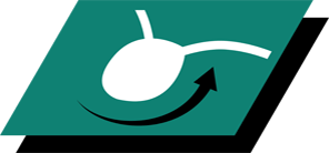 Допомагає підтримувати здоров'я сечовивідних шляхів, сприяючи розрідженню сечі**