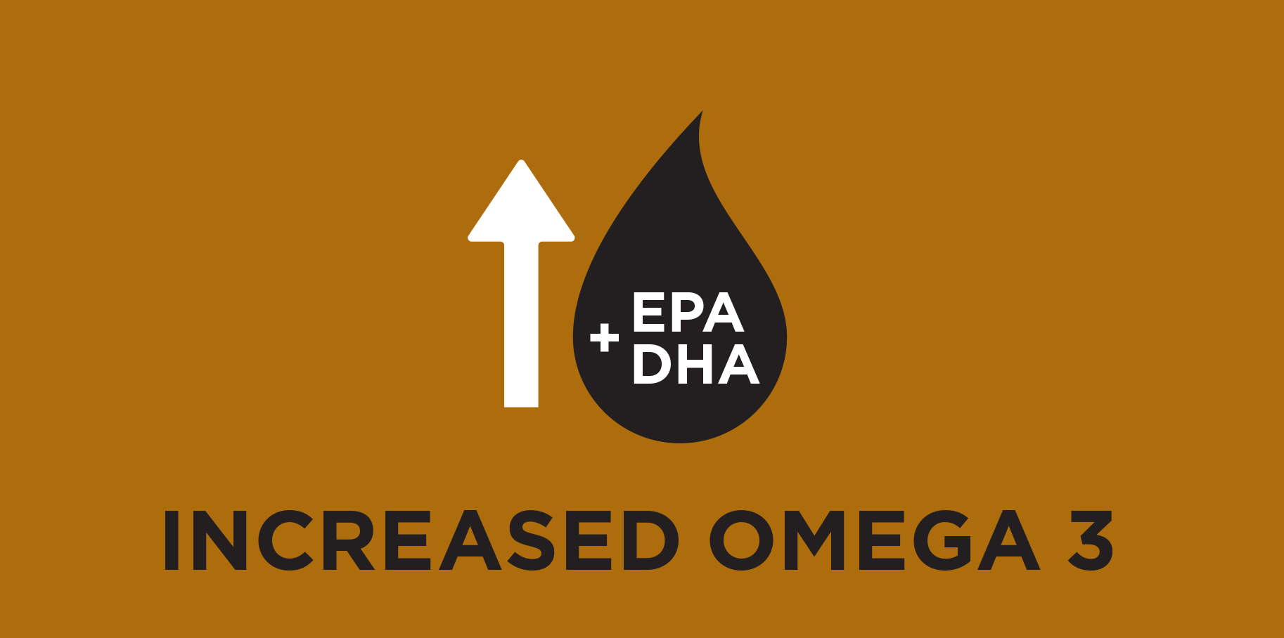 Омега-3 жирні кислоти