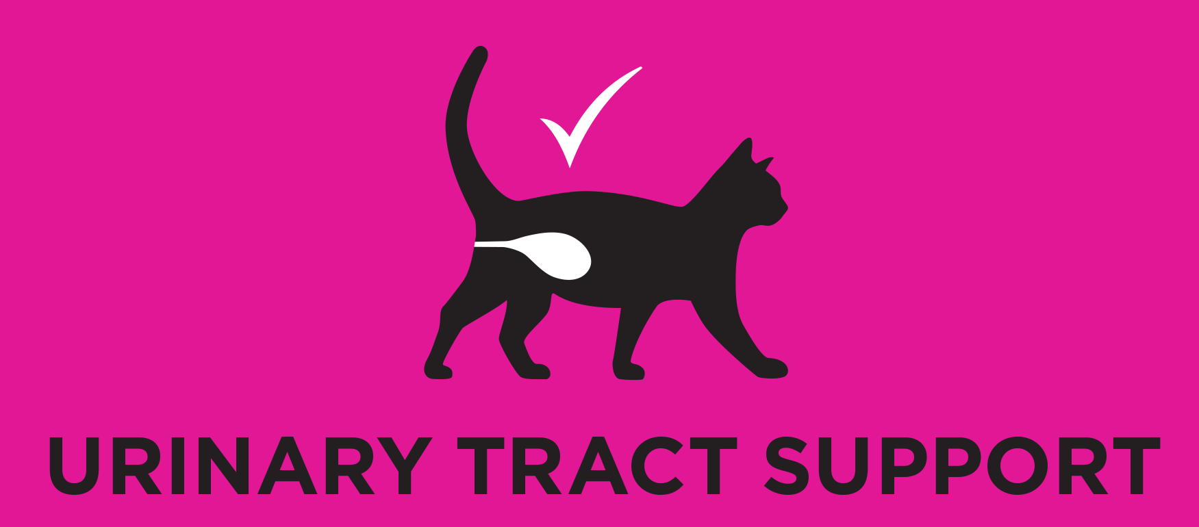 Підтримка сечовивідних шляхів