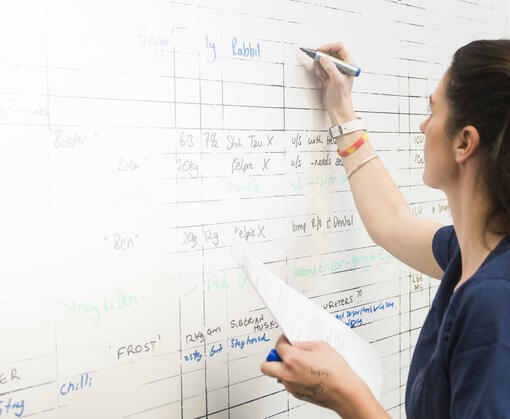 Академія для ветеринарних студентів