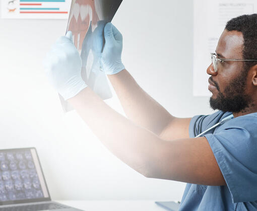 Ветеринарна академія