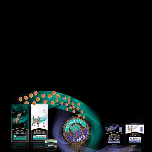 EN+FF Homepage Banner mobile