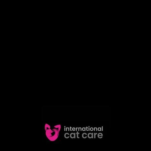 Доступний запис - СТРАТЕГІЇ ХАРЧУВАННЯ ПРИ УРОЛІТІАЗІ КОТІВ