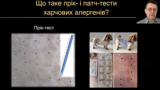 Харчові алергії у собак і котів. Лекція для ветеринарних спеціалістів