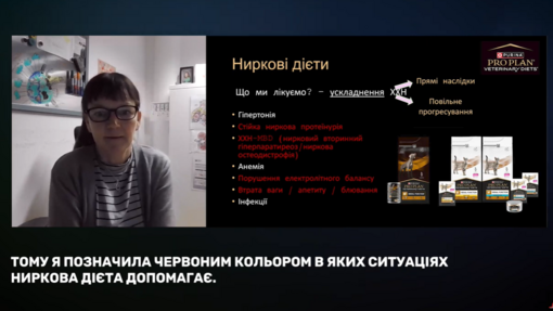 Хронічна хвороба нирок у собак і котів