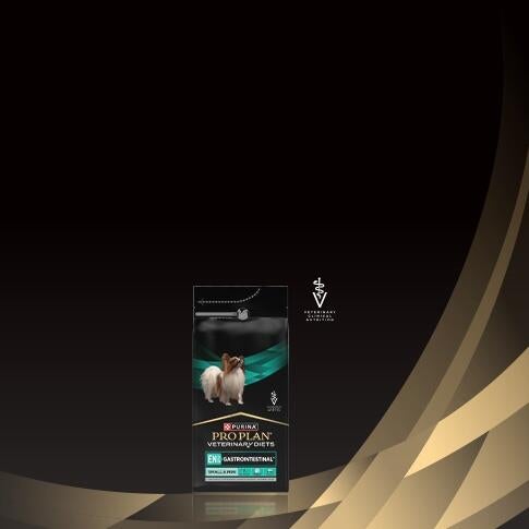 ВЕЛИКІ НОВИНИ