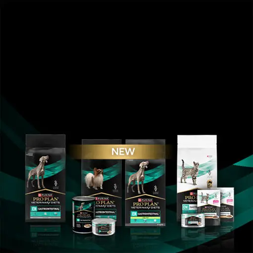 Головний банер із кормом Gastrointestinal