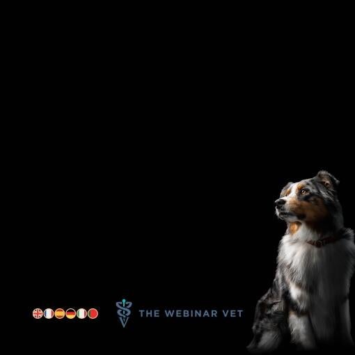 Доступний новий запис - Роль дієт з низьким вмістом жиру у собак