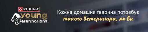 Кожна домашня тварина потребує такого ветеринара, як ви