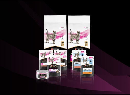 Лінійка PRO PLAN® Veterinary Diets Feline UR Urinary™