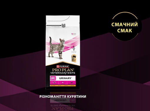 Різноманіття курятини