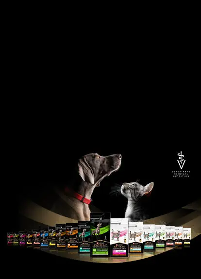Собака, кіт і корми Purina Pro Plan Veterinary Diets