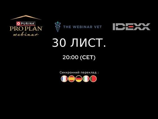 Банер вебінару Purina Pro Plan та IDEXX 30 листопада о 20:00 CET із синхронним перекладом.