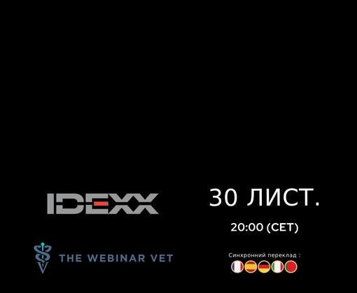 Банер ветеринарного вебінару IDEXX і The Webinar Vet, 30 листопада о 20:00 CET.